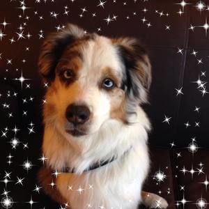 Meet your Posher, Rosann